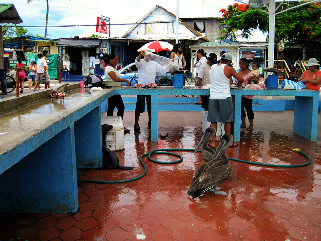 slideshow